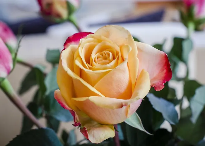 Apartamento Grazbachgasse - Gratis Tiefgaragenplatz Graz