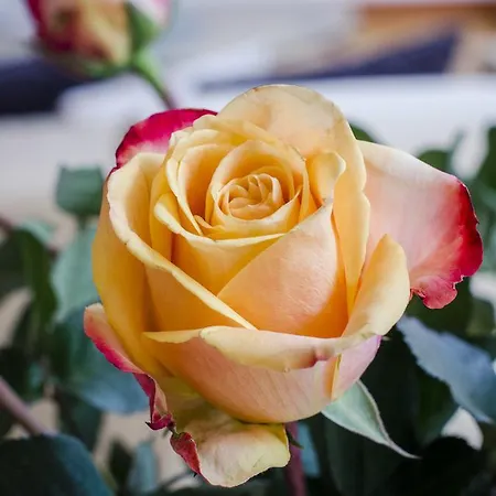 아파트 Grazbachgasse - Gratis Tiefgaragenplatz 그라츠